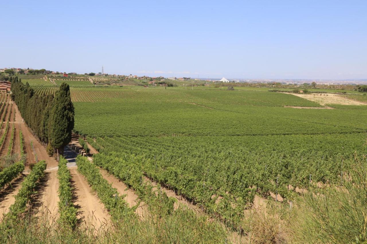 Tenuta Di Pietra Porzia Monte Porzio Catone Exterior foto