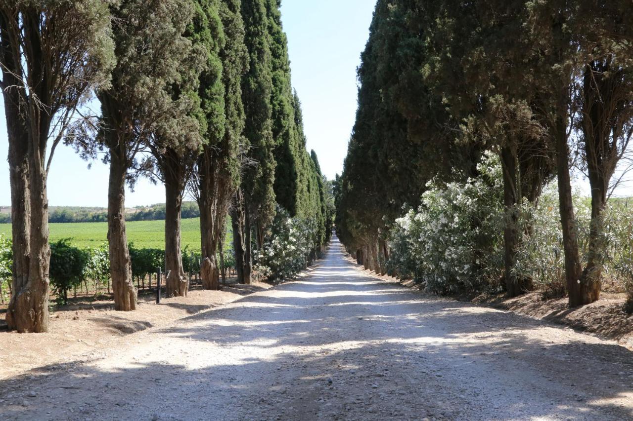 Tenuta Di Pietra Porzia Monte Porzio Catone Exterior foto