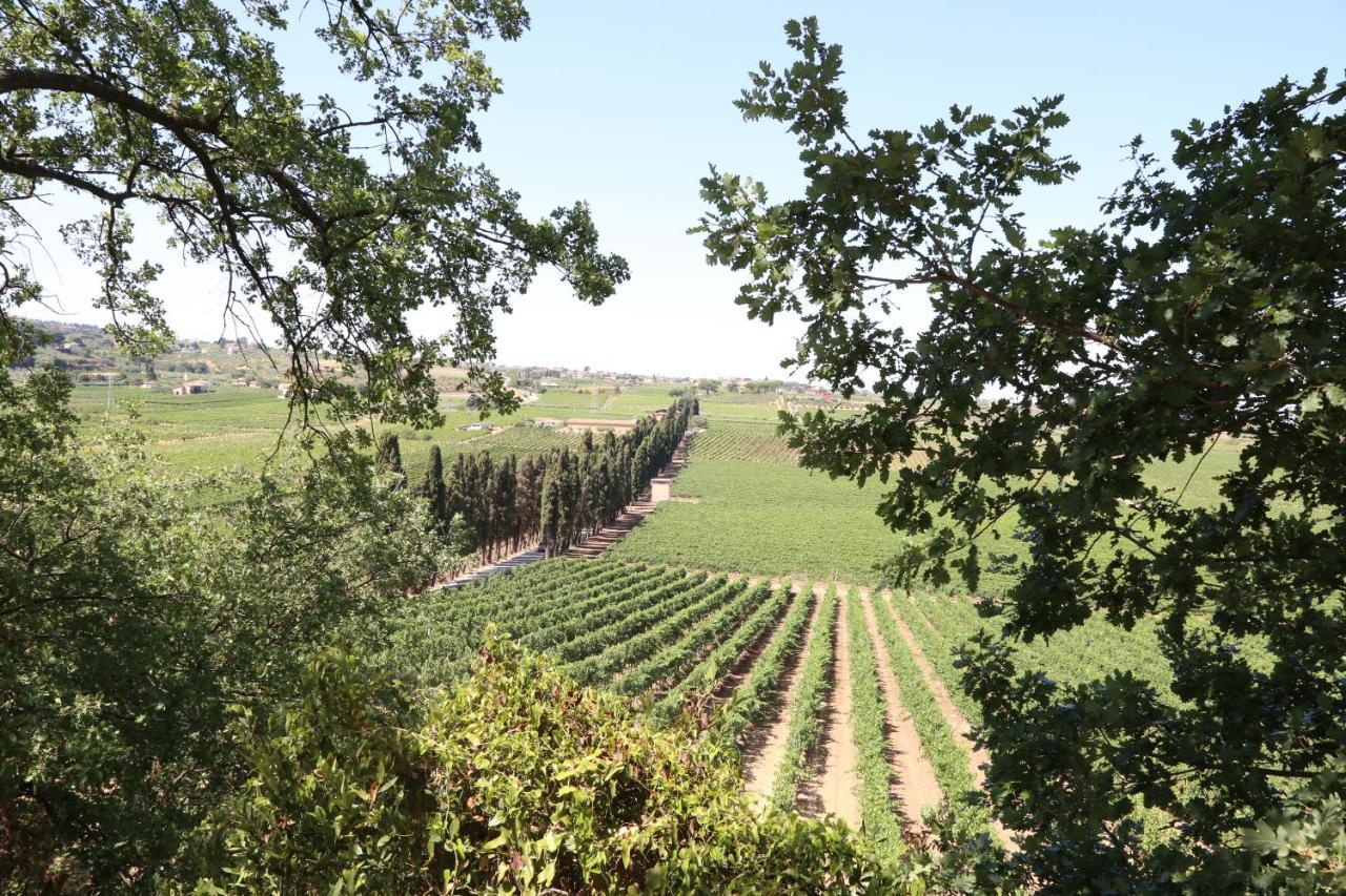 Tenuta Di Pietra Porzia Monte Porzio Catone Exterior foto